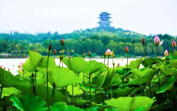 中國(guó)文旅產(chǎn)業(yè)的市場(chǎng)潛力龐大，未來市場(chǎng)空間有望達(dá)到2萬億元