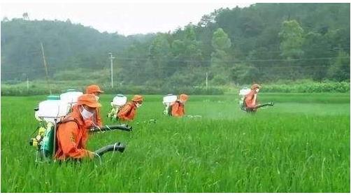 農(nóng)藥行業(yè)仍然具有較大的發(fā)展空間，高效、低毒、低殘留將是其發(fā)展方向