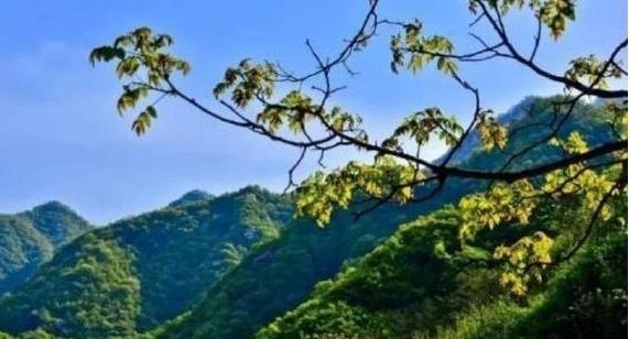 陜西省政府：印發(fā)《秦嶺生態(tài)環(huán)境保護(hù)行動方案》，持之以恒有效保護(hù)秦嶺這一國家重要生態(tài)安全屏障