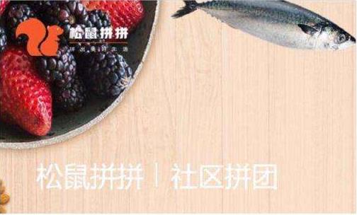 社區(qū)團(tuán)購(gòu)平臺(tái)“松鼠拼拼”完成3100萬(wàn)美元B1輪融資，融資將用于供應(yīng)鏈完善等?