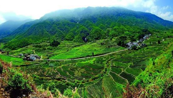 咸寧重振雄風(fēng)推進(jìn)茶文旅融合，做深做優(yōu)做強(qiáng)茶產(chǎn)業(yè)