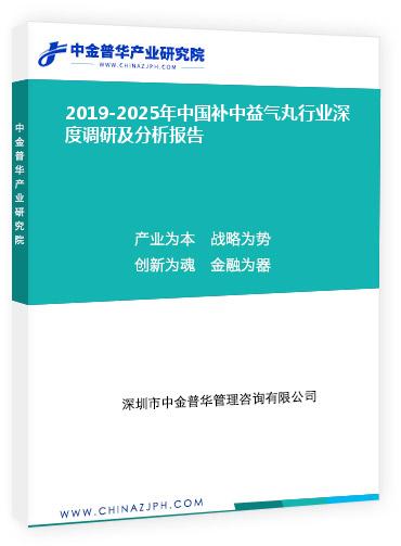 2019-2025年中國補中益氣丸行業(yè)深度調(diào)研及分析報告