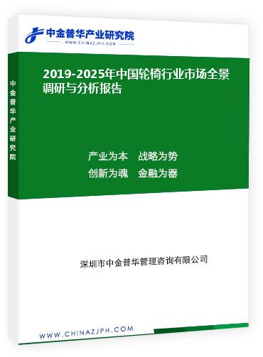 2019-2025年中國輪椅行業(yè)市場全景調研與分析報告