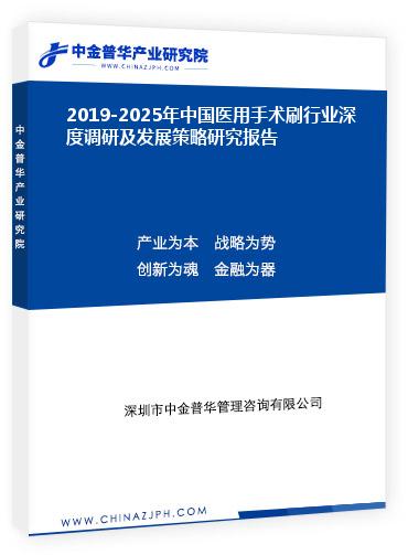 2019-2025年中國醫(yī)用手術刷行業(yè)深度調研及發(fā)展策略研究報告