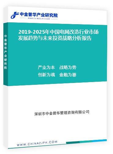 2019-2025年中國電網(wǎng)改造行業(yè)市場發(fā)展趨勢與未來投資戰(zhàn)略分析報(bào)告